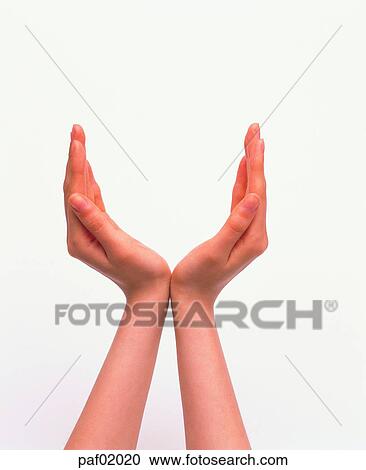 Stock Image - two hands, hand, arm, hand, woman. Fotosearch