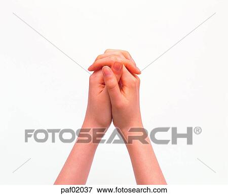 two hands, hand, finger, arm, pray View Large Photo Image Stock Photo - two hands, hand, finger, arm, pray. Fotosearch
