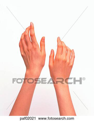 Stock Image - two hands, hand, finger, arm, woman. Fotosearch