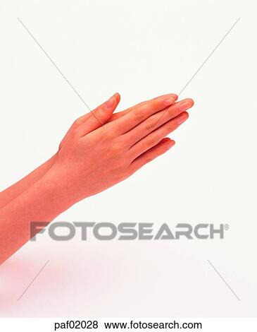 two hands, hand, finger, arm, woman View Large Photo Image Stock Photo - two hands, hand, finger, arm, woman. Fotosearch