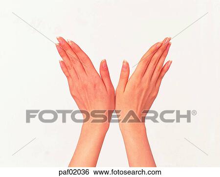 two hands, hand, finger, arm, woman View Large Photo Image Stock Photograph - two hands, hand, finger, arm, woman. Fotosearch