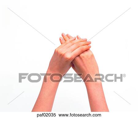 two hands, hand, finger, arm, woman View Large Photo Image Stock Photography - two hands, hand, finger, arm, woman. Fotosearch