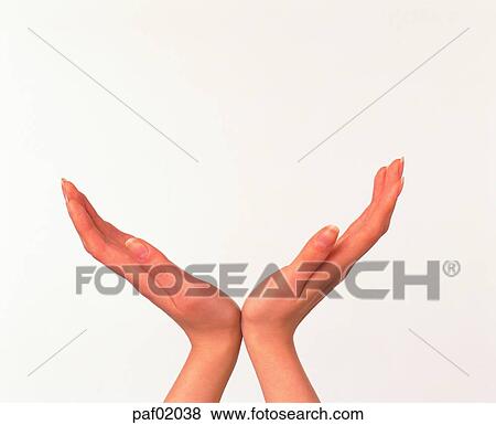 Stock Photo - two hands, hand, finger, back of the hand, arm. Fotosearch