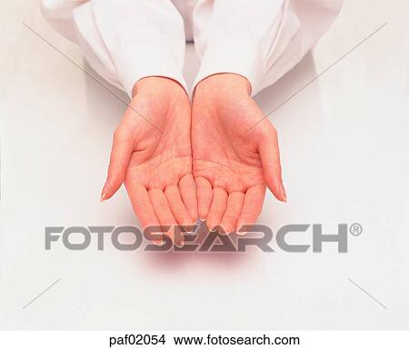 two hands, hand, finger, palm, woman View Large Photo Image Picture - two hands, hand, finger, palm, woman. Fotosearch