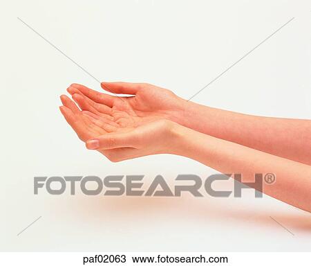two hands, hand, finger, palm, woman View Large Photo Image Stock Image - two hands, hand, finger, palm, woman. Fotosearch