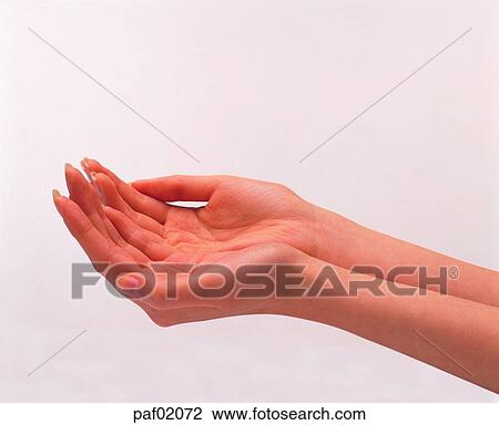 Stock Image - two hands, hand, finger, palm, woman. Fotosearch
