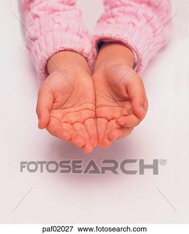 two hands, hand, finger, palm, woman View Large Photo Image Stock Photo - two hands, hand, finger, palm, woman. Fotosearch