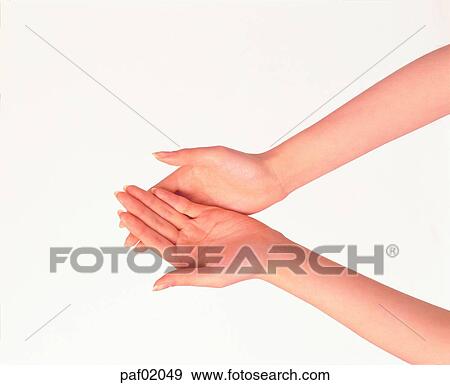 Stock Photo - two hands, hand, finger, palm, woman. Fotosearch