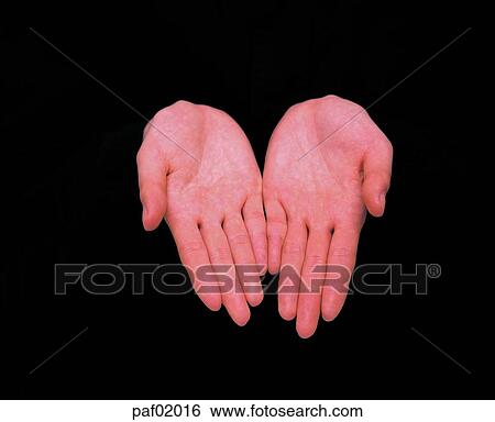Stock Photograph - two hands, hand, finger, palm, woman. Fotosearch
