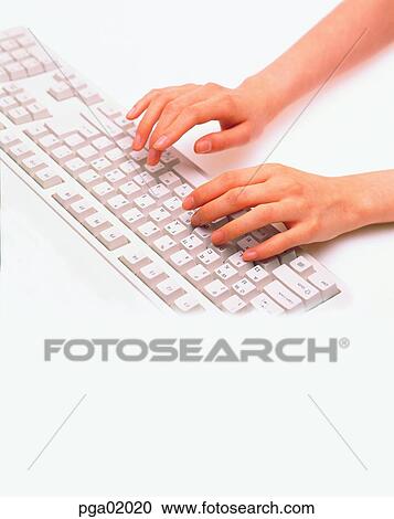 two hands, hands, computer, keyboard, hand, finger, keyboard View Large Photo Image Stock Image - two hands, hands, computer, keyboard, hand, finger, keyboard. Fotosearch