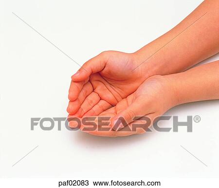two hands, hands, hand, finger, palm, child View Large Photo Image Stock Image - two hands, hands, hand, finger, palm, child. Fotosearch