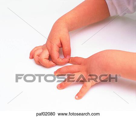 Stock Image - two hands, hands, hand, finger, thumbnail, second finger. Fotosearch