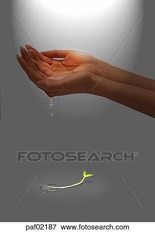 Stock Photo - two hands, hands, palm, hand, light, water. Fotosearch