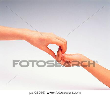 Stock Image - woman, hand, finger, hand, womanhand, adult hand. Fotosearch