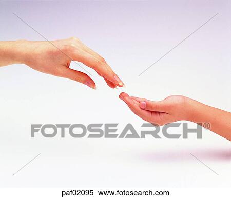 woman, hand, finger, hand, womanhand, adult hand View Large Photo Image Stock Photography - woman, hand, finger, hand, womanhand, adult hand. Fotosearch