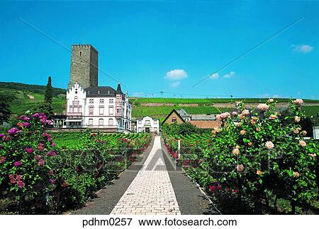 France, farms, fieldshouse, residence, house, residence, house View Large Photo Image Stock Photo - France, farms, fieldshouse, residence, house, residence, house. Fotosearch