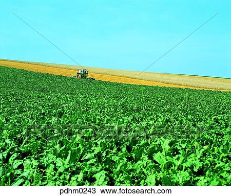 Stock Image - France, tractor, tractor, field, farm, FarmVillage, farms. Fotosearch