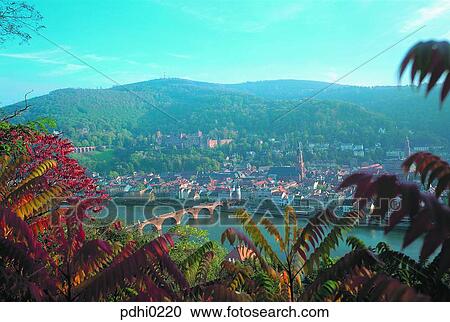 Stock Image - Heidelberg, river, bridge, maple, mountain, autumn, tree. Fotosearch
