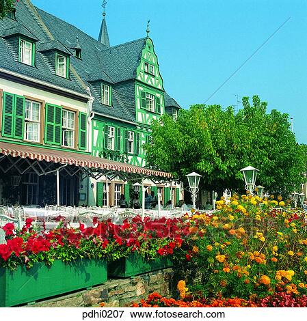 Opencafe, Germany, garden, flower, interior, decoration, tree View Large Photo Image Stock Photo - Opencafe, Germany, garden, flower, interior, decoration, tree. Fotosearch