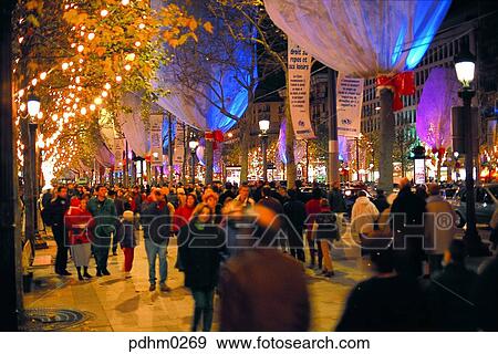 Street tree, street light, street, neon, NightView, Citizen View Large Photo Image Stock Photo - Street tree, street light, street, neon, NightView, Citizen. Fotosearch