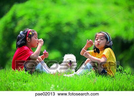 child, bubble, puppy, girl, Oriental people, friend, sister View Large Photo Image Stock Image - child, bubble, puppy, girl, Oriental people, friend, sister. Fotosearch
