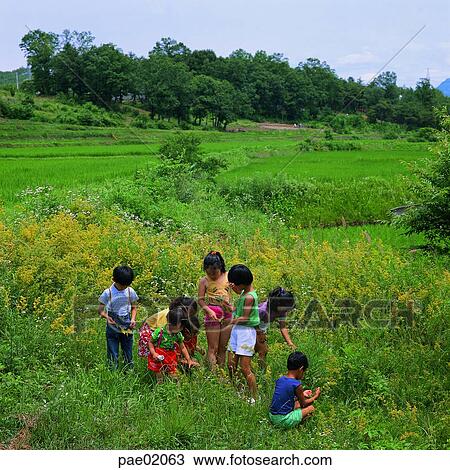 child, childrens, child, oriantal, human, outdoor, human View Large Photo Image Stock Image - child, childrens, child, oriantal, human, outdoor, human. Fotosearch