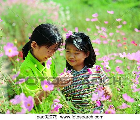 child, cosmos, smile, sister, friend, girl, oriantal View Large Photo Image Stock Photo - child, cosmos, smile, sister, friend, girl, oriantal. Fotosearch