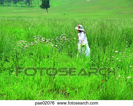 child, girl, plain, grass, field, human, oriantal View Large Photo Image Stock Photograph - child, girl, plain, grass, field, human, oriantal. Fotosearch