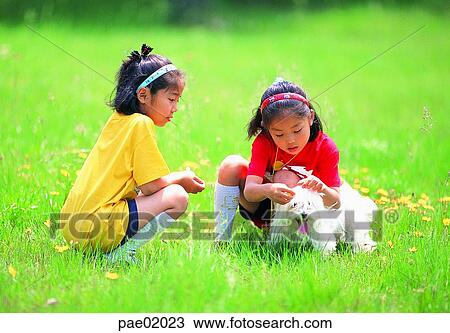 child, girlpuppy, animal love, dog, animal, sister, friend View Large Photo Image Stock Image - child, girlpuppy, animal love, dog, animal, sister, friend. Fotosearch