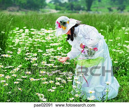 child, magaret, wildflower, girl, outdoor, humanoriantal View Large Photo Image Stock Image - child, magaret, wildflower, girl, outdoor, humanoriantal. Fotosearch