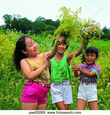 child, wildflower, smile, human, girl, outdoor, oriantal View Large Photo Image Stock Photo - child, wildflower, smile, human, girl, outdoor, oriantal. Fotosearch