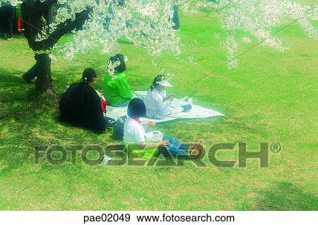 picnic, human, mat, outdoor, human View Large Photo Image Stock Photo - picnic, human, mat, outdoor, human. Fotosearch