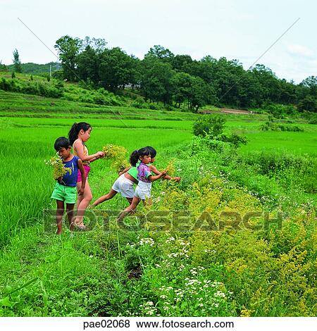 wildflower, human, child, childrens, outdoor View Large Photo Image Stock Photo - wildflower, human, child, childrens, outdoor. Fotosearch