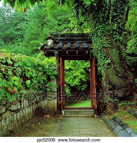 Stock Photograph - house, house, wall, tree, plant, summer, season. Fotosearch
