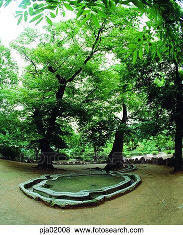 Posukjung, OldCastle, tree, plant, tradition, Korea, properties View Large Photo Image Stock Photo - Posukjung, OldCastle, tree, plant, tradition, Korea, properties. Fotosearch