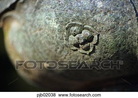 Silsangsa, Baekjangam, Buddhism, religion, Temple, tower, modeling View Large Photo Image Stock Photo - Silsangsa, Baekjangam, Buddhism, religion, Temple, tower, modeling. Fotosearch