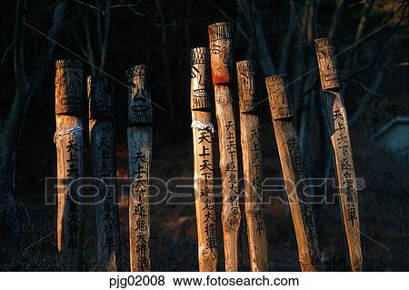 tree, ethnic customs, tradition, Korea, properties, relic, history View Large Photo Image Stock Photo - tree, ethnic customs, tradition, Korea, properties, relic, history. Fotosearch