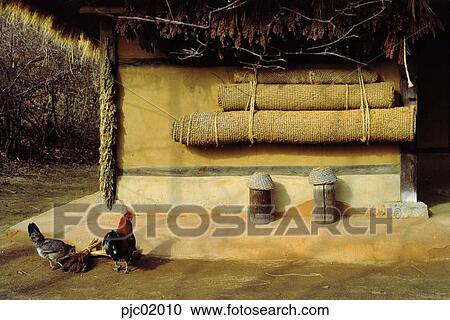 straw-thatched house, straw-thatched house, eaves, garden, yard, straw mat, chicken View Large Photo Image Stock Image - straw-thatched house, straw-thatched house, eaves, garden, yard, straw mat, chicken. Fotosearch