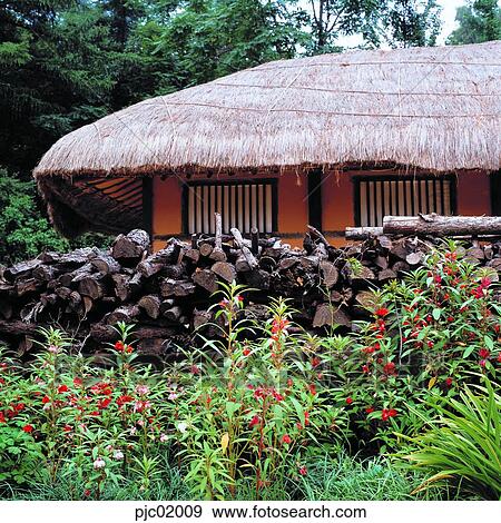 straw-thatched house, straw-thatched house, firewood, fence, balsam, flower, plant View Large Photo Image Stock Photo - straw-thatched house, straw-thatched house, firewood, fence, balsam, flower, plant. Fotosearch