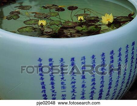 Stock Photo - water jar, water, flower, white porcelain, folk tool, living implements, living articles. Fotosearch