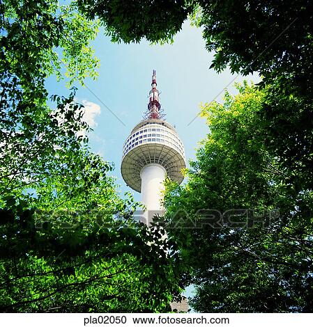 building, construction, tree, branch, twig, Namsan, Namsan Tower View Large Photo Image Stock Image - building, construction, tree, branch, twig, Namsan, Namsan Tower. Fotosearch
