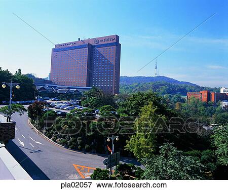 building, structure, building, construction, tree, Namsan Tower, day View Large Photo Image Stock Photo - building, structure, building, construction, tree, Namsan Tower, day. Fotosearch