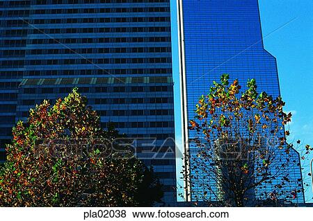 construction, fall, building, structure, building, tree, autumn View Large Photo Image Stock Photo - construction, fall, building, structure, building, tree, autumn. Fotosearch