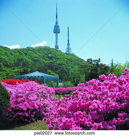 mountain, Namsan, spring, day, Namsan Tower, 0443 View Large Photo Image Stock Photo - mountain, Namsan, spring, day, Namsan Tower, 0443. Fotosearch
