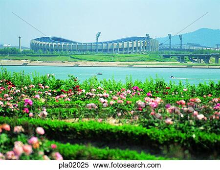 sports ground, stadium, terrace land on the river, flower, day, ship, boat View Large Photo Image Stock Photography - sports ground, stadium, terrace land on the river, flower, day, ship, boat. Fotosearch