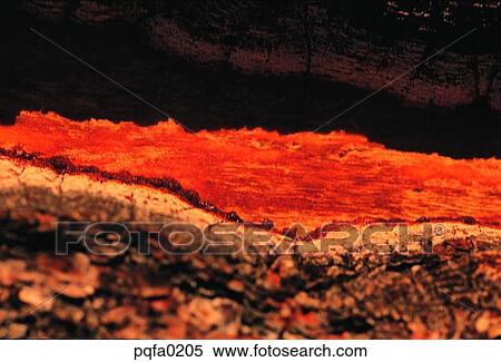 Stock Photography - background, husk, bark, tree, shell, background, 0948. Fotosearch
