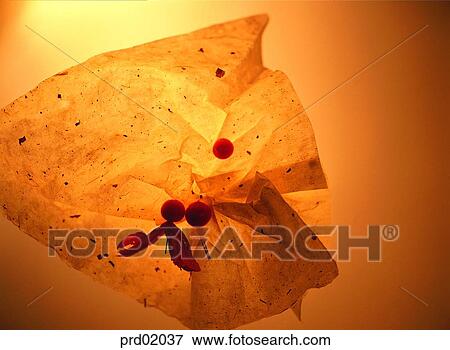 Stock Photo - crumple, wrinkle, crumpled paper, background, background, indoor. Fotosearch