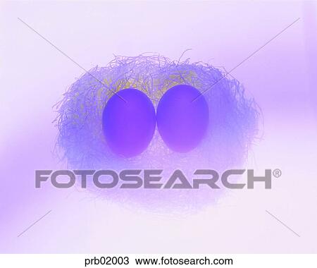 egg, egg, nest, Easter, birdegg, spawn View Large Photo Image Stock Image - egg, egg, nest, Easter, birdegg, spawn. Fotosearch