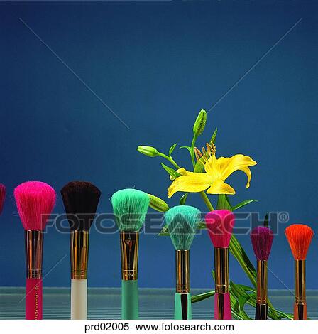 flower, lily, makeup, beauty, brush, indoor View Large Photo Image Stock Photography - flower, lily, makeup, beauty, brush, indoor. Fotosearch