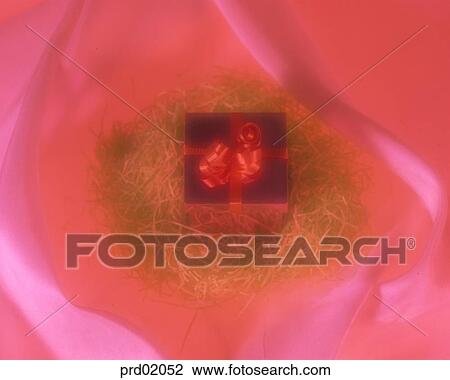 indoor, nest, present packing, present box, present, 0912 View Large Photo Image Stock Image - indoor, nest, present packing, present box, present, 0912. Fotosearch